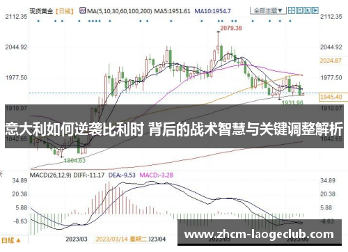 意大利如何逆袭比利时 背后的战术智慧与关键调整解析