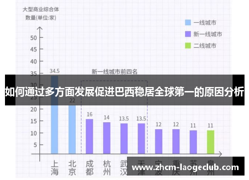 如何通过多方面发展促进巴西稳居全球第一的原因分析