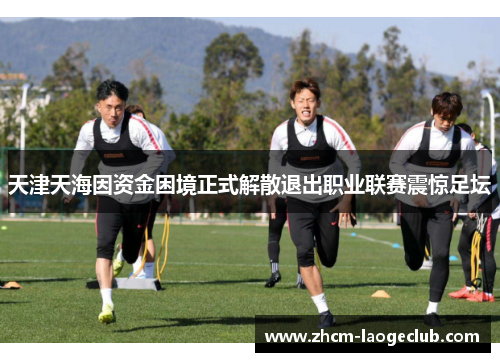 天津天海因资金困境正式解散退出职业联赛震惊足坛